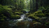 A tranquil forest stream babbling over moss-covered rocks, surrounded by towering trees and vibrant ferns, a peaceful oasis in the heart of nature.