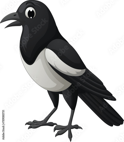 Cartoon magpie bird isolated on white background