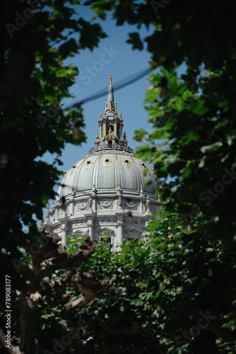 The dome of the San Francisco city hall framed between some trees, California, USA