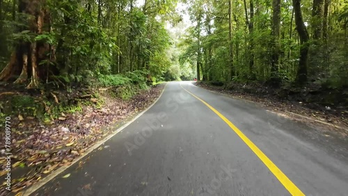 This is a road in the middle of the forest on the slopes of Mount Rinjani - Lombok Indonesia.