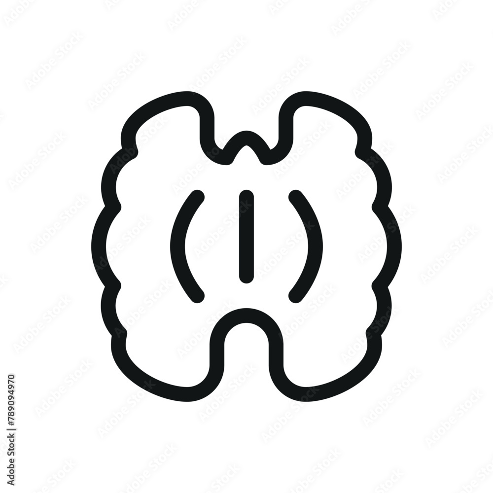 Walnut kernel isolated icon, walnut vector symbol with editable stroke Walnut kernel isolated icon, walnut vector symbol with editable stroke