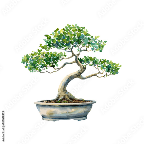 bonsai tree in pot vector illustration in watercolor style