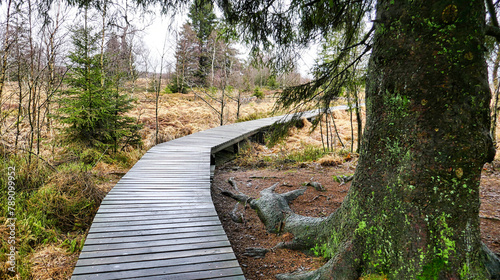 Wunderschöner Wander- bzw. Holzsteg durch den Naturpark Hohes Venn photo