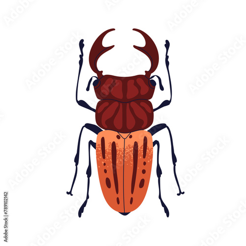 Greater stag beetle, large insect with mandibles, top view. Bug species with ...