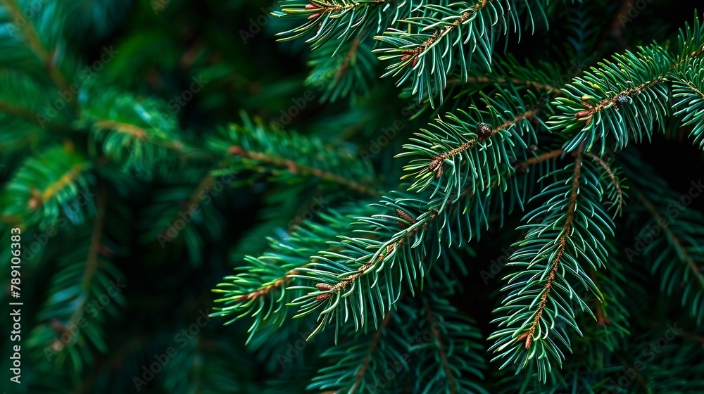 green branches of a pine tree closeup short needles of a coniferous tree closeup on a green background texture of needles of a Christmas tree closeup : Generative AI green branches of a pine tree closeup short needles of a coniferous tree closeup on a green background texture of needles of a Christmas tree closeup : Generative AI