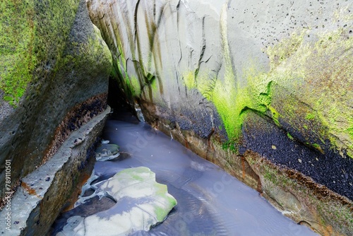 Abstract rock and algae formations at the Three Sisters, Tongaporutu, Taranaki, New Zealand. photo