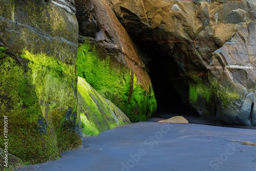 Abstract rock and algae formations at the Three Sisters, Tongaporutu, Taranaki, New Zealand. photo