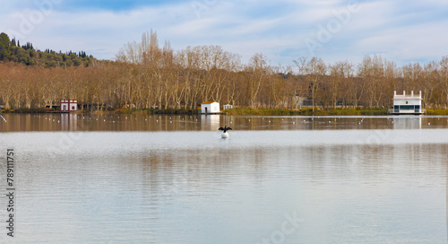 Panorámica de las pesqueras en el Lago de Banyoles durante el invierno, con aves acuáticas y árboles deshojados en el paisaje tranquilo de Pla de l'Estany, Cataluña.