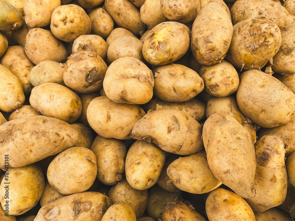 Pile of fresh potatoes on sale in vegetable stand display at supermarket show organic food, vegetarian food, Healthy food. Heap of potato sale in market use for texture and background. Pile of fresh potatoes on sale in vegetable stand display at supermarket show organic food, vegetarian food, Healthy food. Heap of potato sale in market use for texture and background.