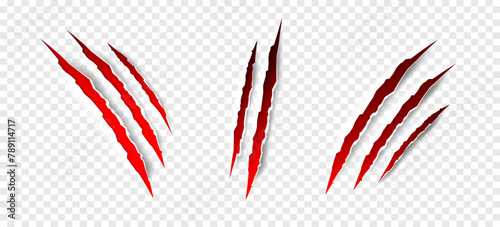 Claws scratches - vector isolated. Claws scratches animal claw tracks cat or tiger bear or lion attack nails scratches. Horror, halloween monster. Vector