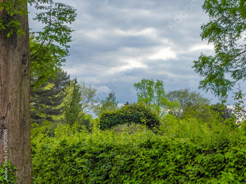 green meadow trees and clouds landscape in spring