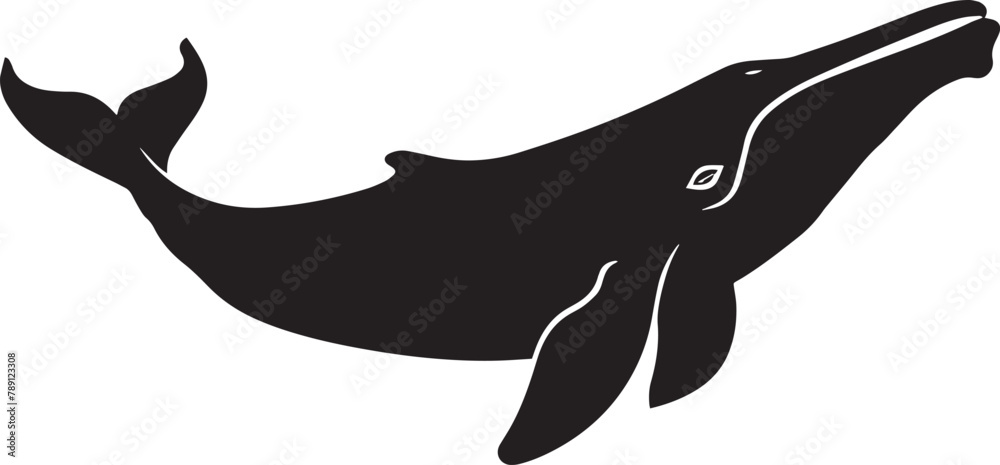 whale silhouette vector black on white background, Stock Vector | Adobe ...