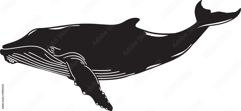Whale Silhouette Vector Black On White Background Stock Vector Adobe Whale Silhouette Vector Black On White Background Stock Vector Adobe