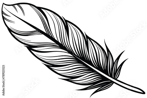 One feather line art vector illustration