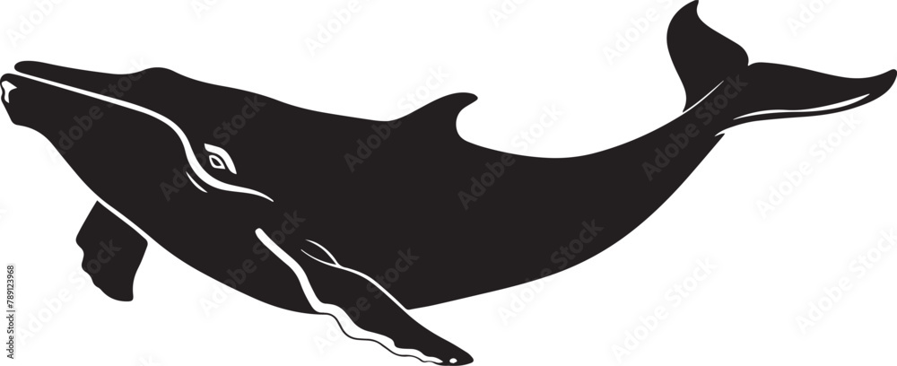 whale silhouette vector black on white background, Stock Vector | Adobe ...
