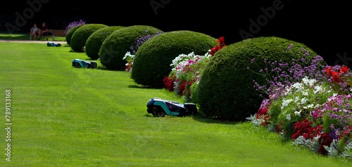 Silent mowers maintain the grassy area in the park