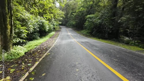 This is a road in the middle of the forest on the slopes of Mount Rinjani - Lombok Indonesia.