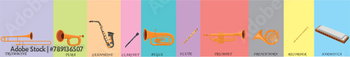 wind musical instrument