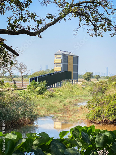 Elevated Bird Watching Tower Amidst Lush Greenery in Mai Po Nature Reserve, Hong Kong photo