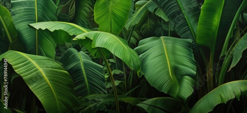 Background of vibrant lush green tropical leaves