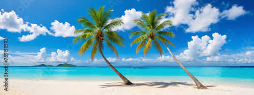 Paradise beach with palm trees in tropical sea. Beautiful palm tree on a tropical island. Ocean and blue sky. Amazing summer holiday. © 360VP