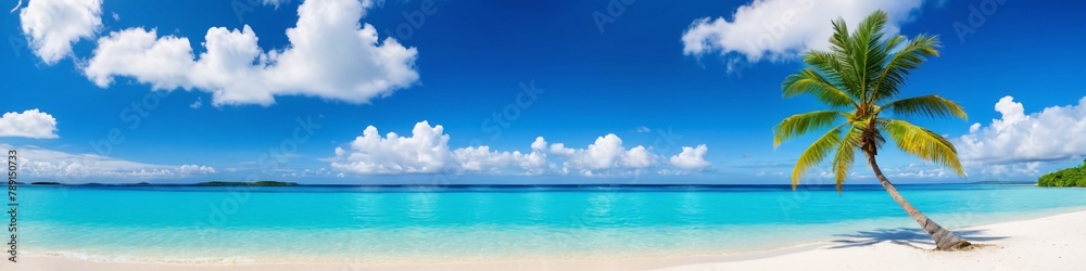 Palm and tropical beach. A calm beach with palm trees swaying in the breeze. Serene coastal image.
