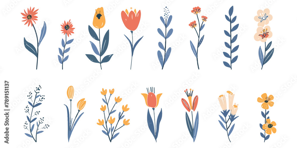 Set of illustrations of beautiful colored flowers on a white background. Set of illustrations of beautiful colored flowers on a white background.