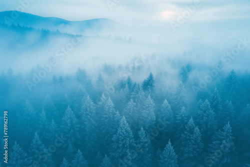 Dawn breaks with a whisper over a forest of frosty pines, shrouded in mist, as the soft hues of morning create a hushed and mystic tableau.