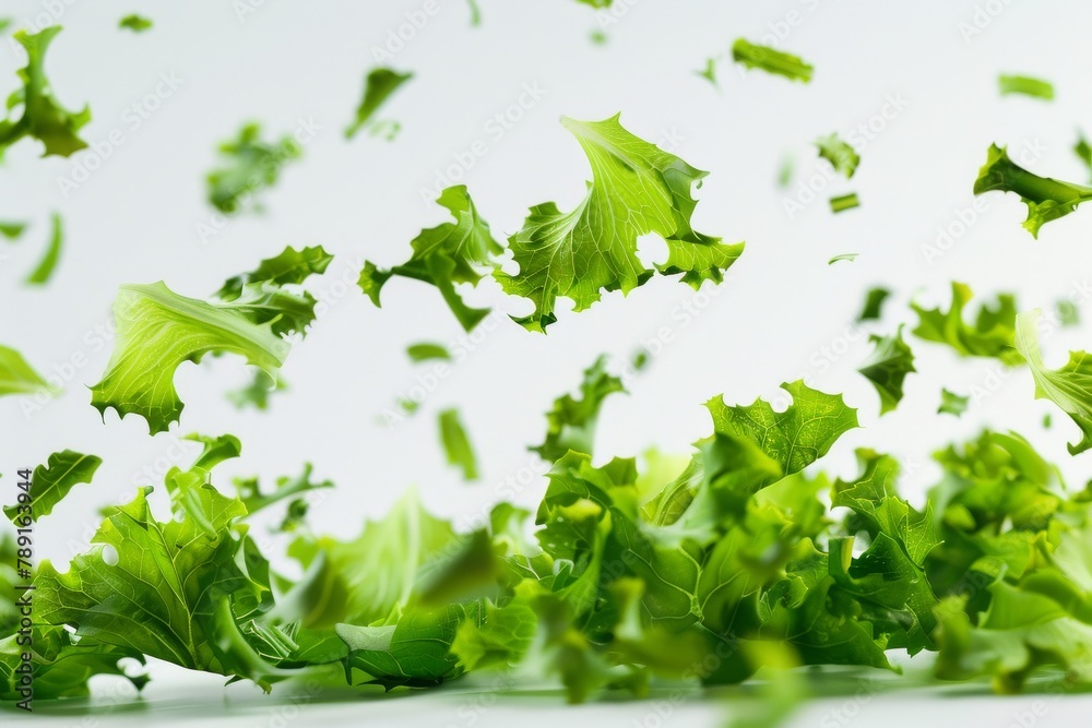 A bunch of vibrant green lettuce leaves cascading down on a clean white background A bunch of vibrant green lettuce leaves cascading down on a clean white background