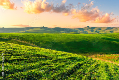 green field in countryside farm at sunset in evening light. beautiful spring landscape in hills. grassy field and hill. rural scenery