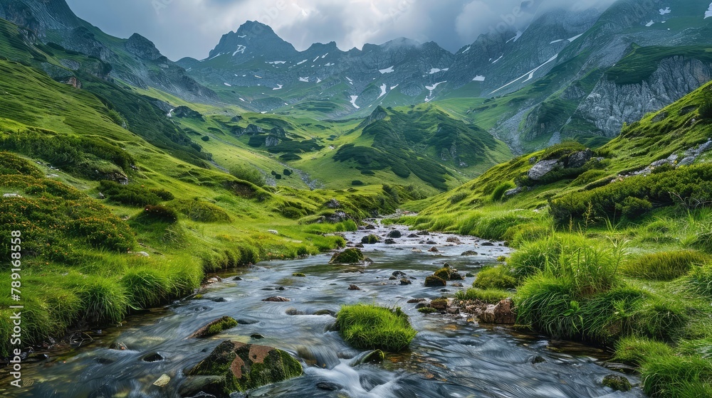 Peaceful stream flowing through a green mountain landscape