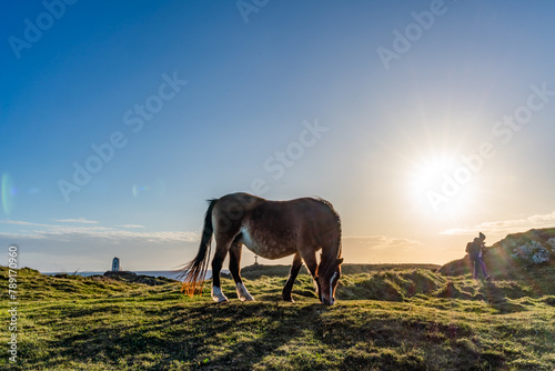 Sunset on llandwyn Island Anglesey photo