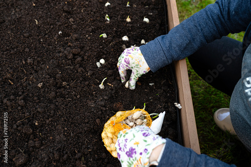 A woman plants small onions into wooden boxes filled with soil and peat.