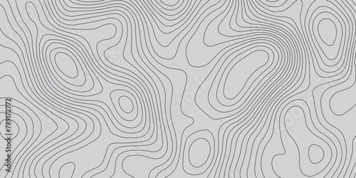 Abstract gray topography contour map background design .geometric black wave curve lines texture .abstract topographic map with wave line pattern .