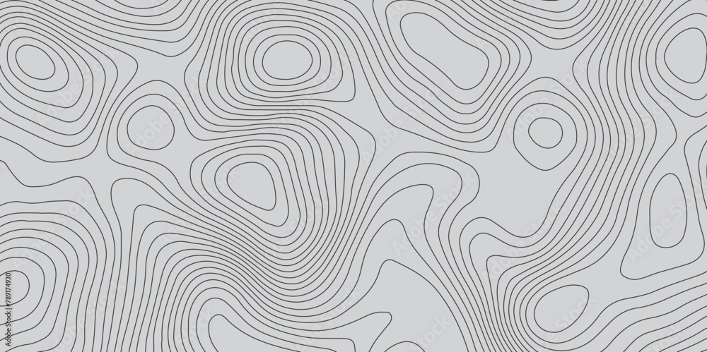 Abstract gray topography contour map background design .geometric black wave curve lines texture .abstract topographic map with wave line pattern . Abstract gray topography contour map background design .geometric black wave curve lines texture .abstract topographic map with wave line pattern .