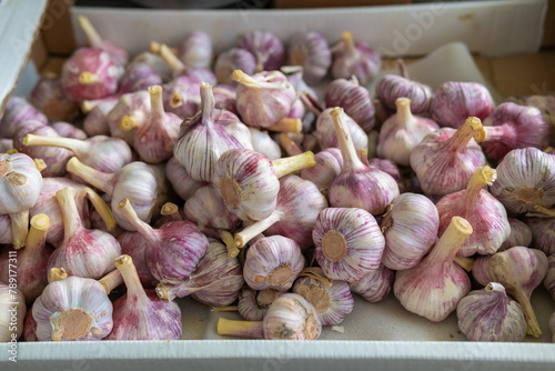 Many heads of garlic are sold in the market © potas