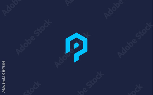 letter p with hexagon logo icon design vector design template inspiration