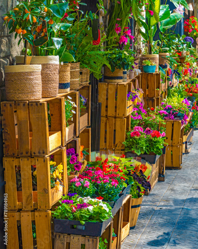 Many flowers, roses, plants and fruit trees in pots and wooden boxes beautifully displayed outside a flower shop on the sidewalk of a street in Barcelona.