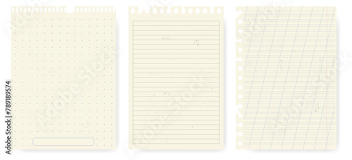 Torn paper sheets from a notepad. Set of torn realistic pages. Collection of sheets with lines and cells.
