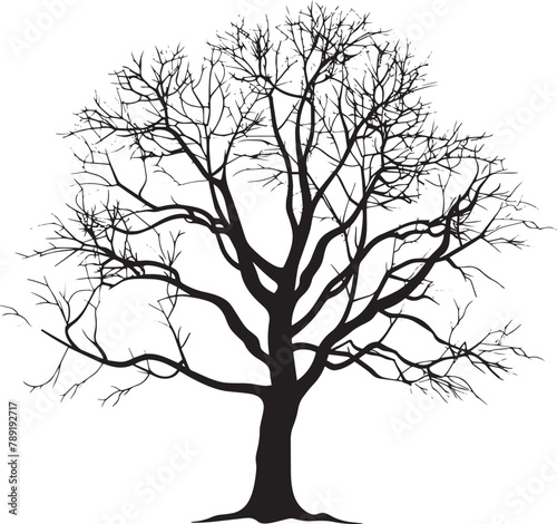 Tree without leaf silhouette vector black on white background, clean, simple,