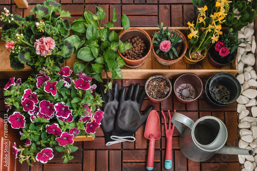 Gardening Composition with Potted Flowers and Gardening Tools (ID: 789194333)