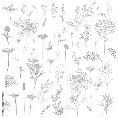 Big collection of vector modern lined flowers
