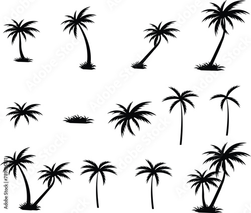 Tropical palm tree and leaf silhouette set. Black palm tree collection. Design of palm trees for posters  banners and promotional and decoration items group. Vector