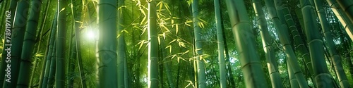 serene sunlight filters through vibrant green bamboo, portraying the tranquil ambiance of an oriental zen forest © pier