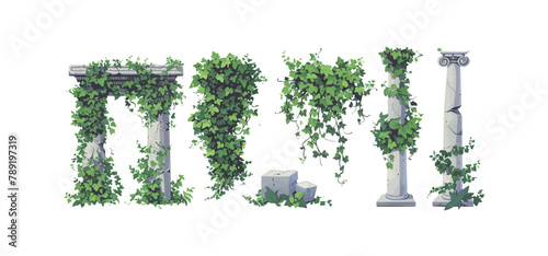 Ivy vines and wreaths, and a greek antique column entwined with ivy, elements isolated on white background. Vector illustration in flat cartoon styl