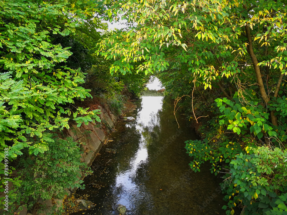 Fototapeta premium View on the Muson dei Sassi stream at Castello di Godego, Treviso - Italy