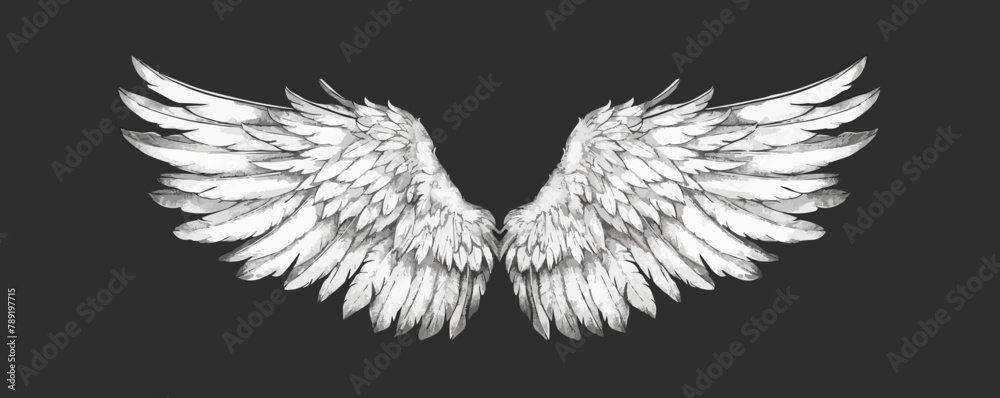 Hand drawn wings, sketch bird or angel wing with feathers. Vector illustration - obrazy, fototapety, plakaty 