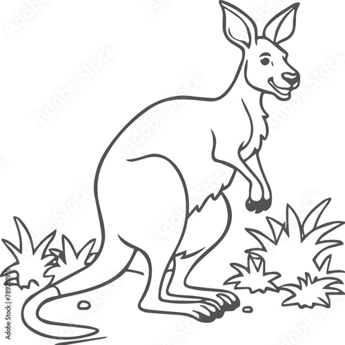 Kangaroo coloring pages. Kangaroo animal outline for coloring book