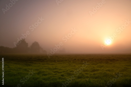 Friesischer Nebel - von strahlenden Sommermorgen bis zu milchigen Wintertagen - Frieslands sanfte Seite