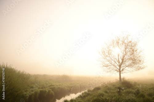 Friesischer Nebel - von strahlenden Sommermorgen bis zu milchigen Wintertagen - Frieslands sanfte Seite 18